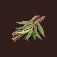 White Willow Bark Extract