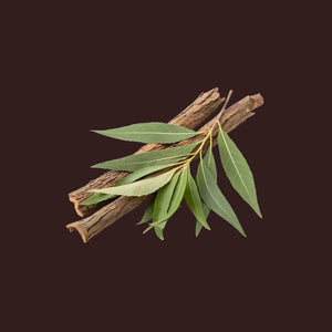 White Willow Bark Extract