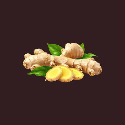 Ginger Root Extract