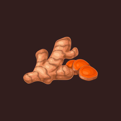 Turmeric Root + 95% Curcuminoids